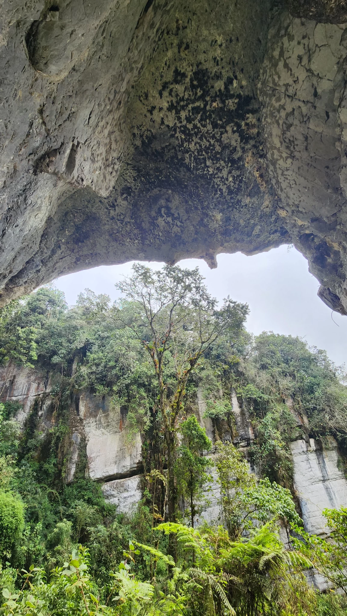 cueva carracos bosques de pandora el penon santander