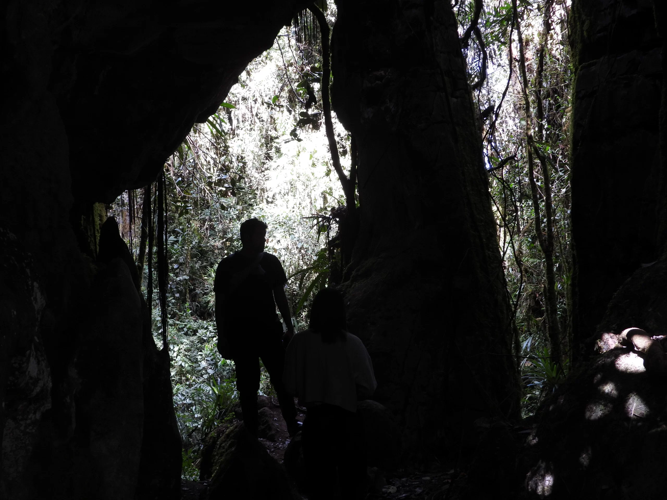 Bosques d ePandora persona cmainando el peñon santander