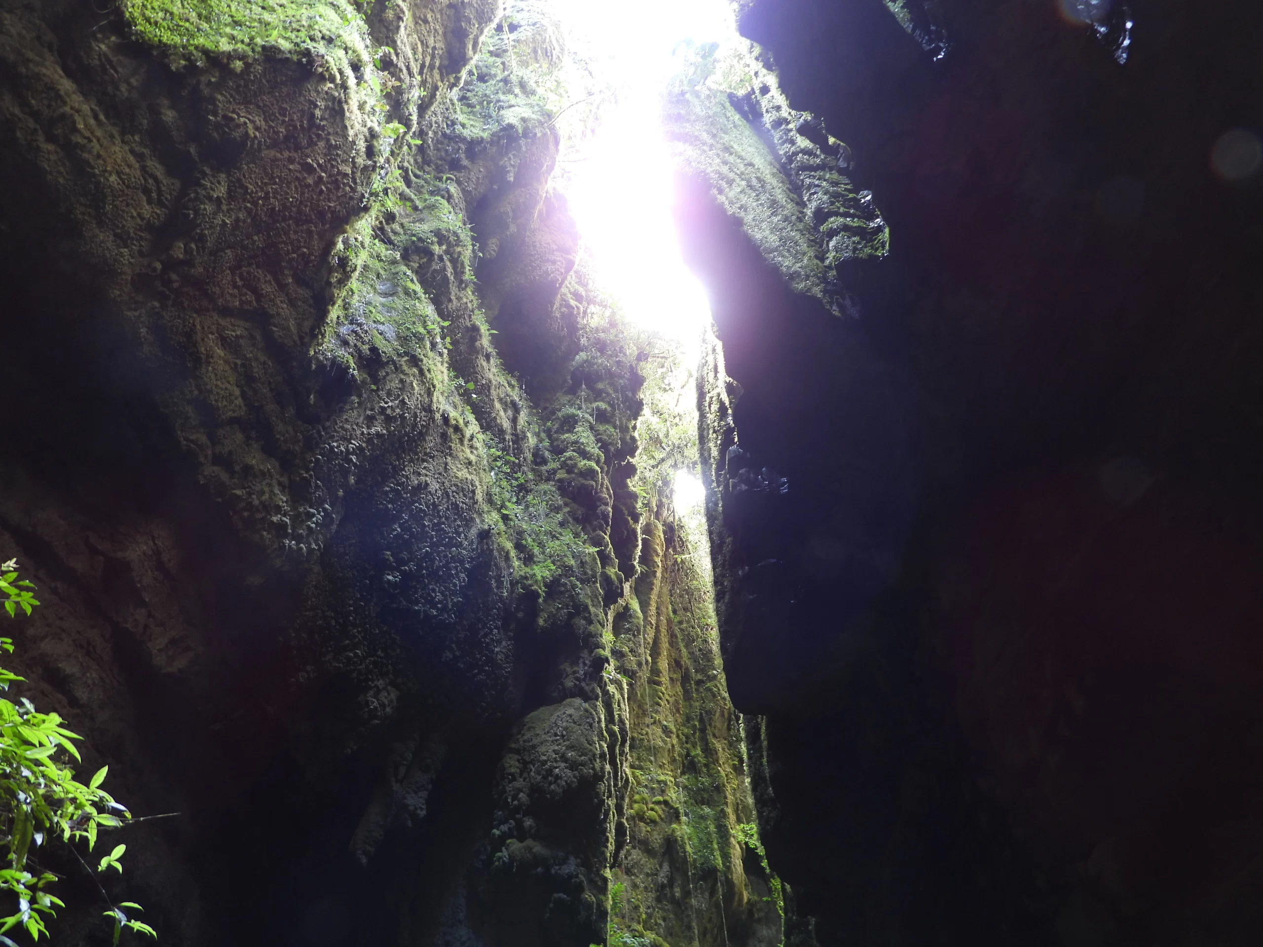 El peñon Santander Bosques Pandora