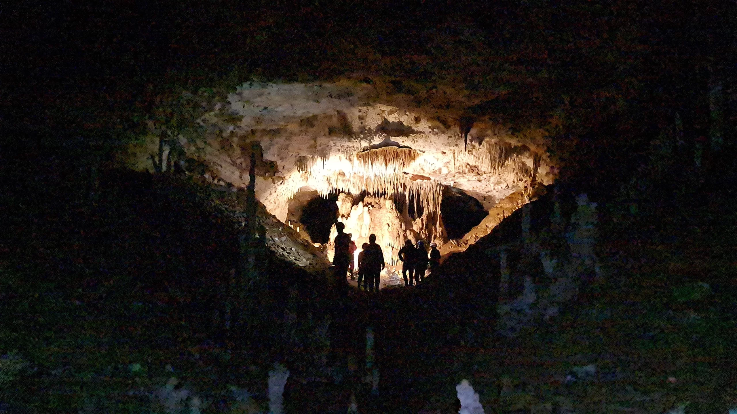 Crracos extremo bosques de pandora plan urico expiriences